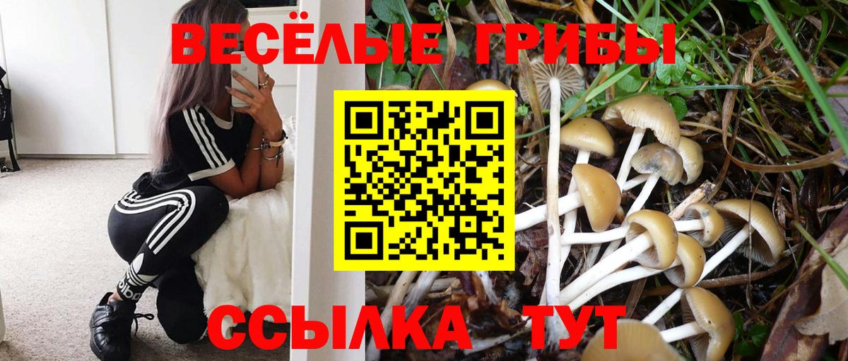 Ипатово  Галлюциногенные грибы Magic Shrooms  Вход с VPN  Псилоцибиновые грибы прущие грибы 