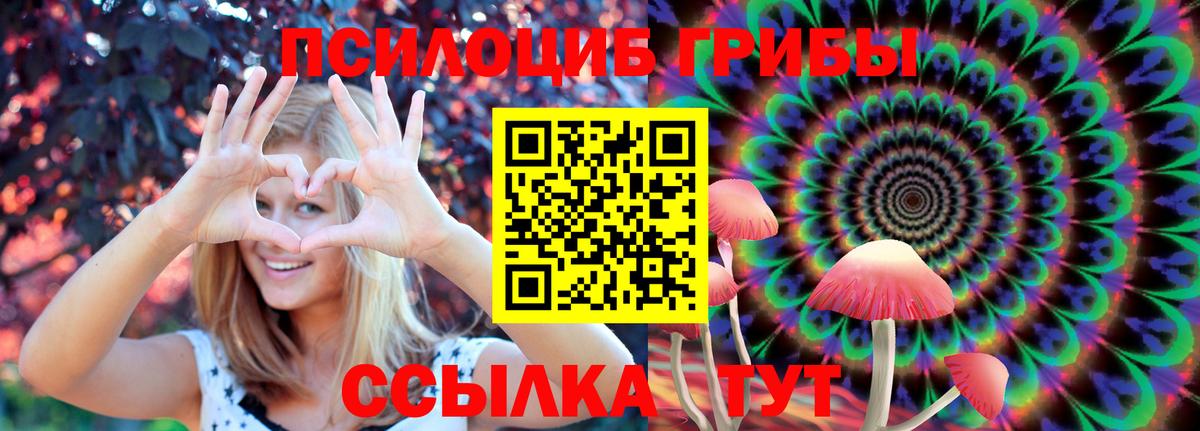 Псилоцибиновые грибы прущие грибы Ипатово